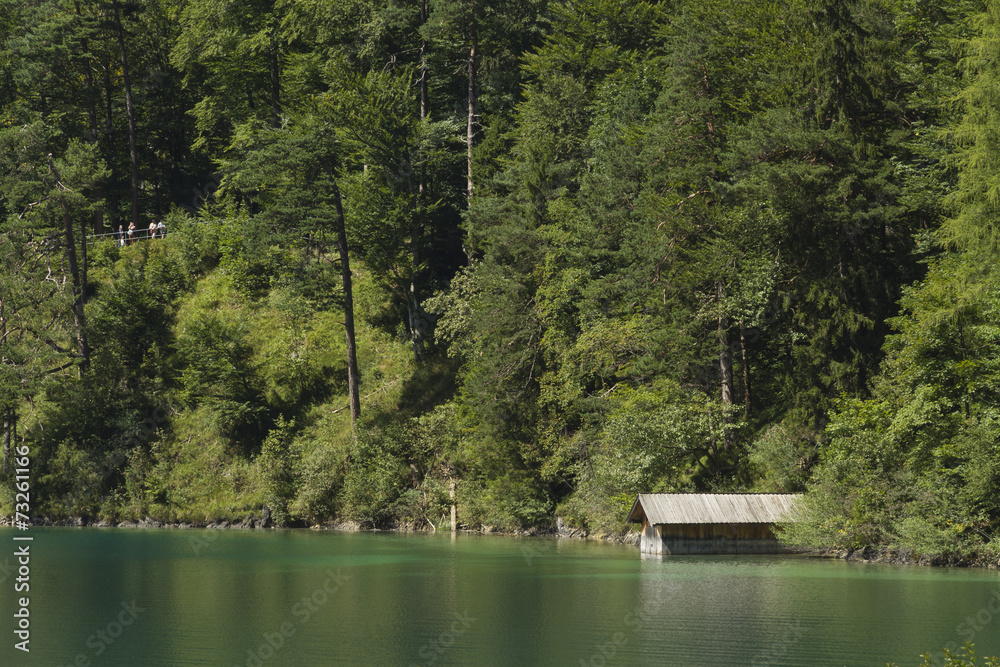 Green Alpsee lake with boating shed and trees, Germany.