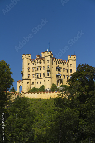 Hohenschwangau Castle, Germany. #73261133