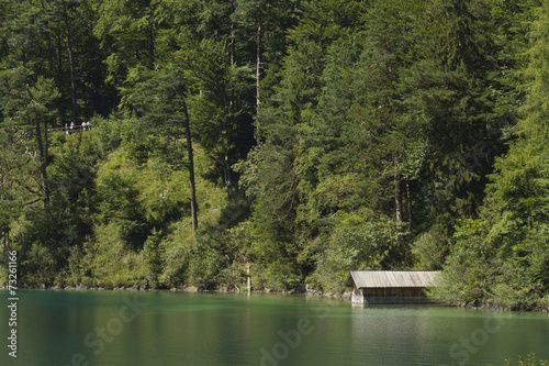 Green Alpsee lake with boating shed and trees, Germany.