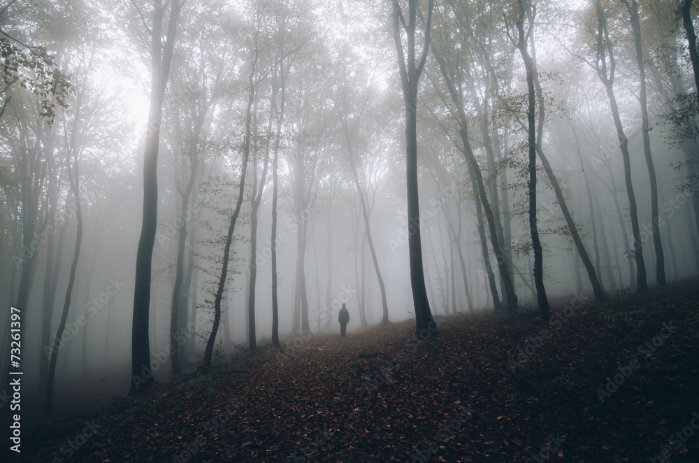 Naklejka premium man walking on a forest path