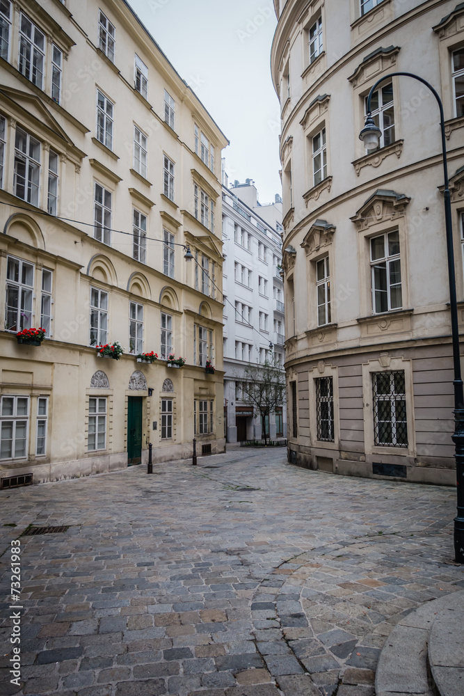 Fototapeta premium Vienna - City View