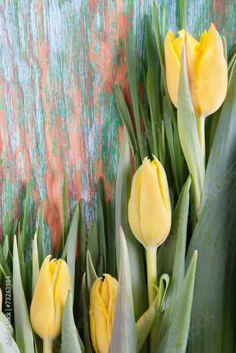 Gelbe Tulpen vor Holz Hintergrund