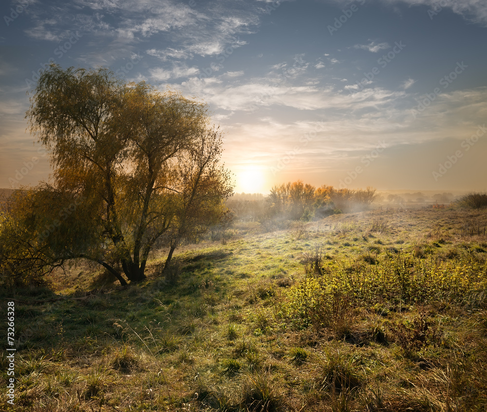 Evening landscape Evening landscape