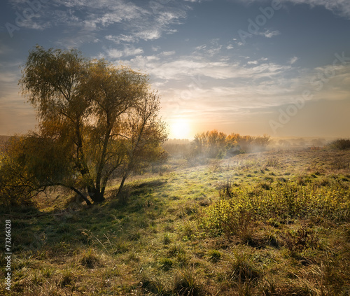 Evening landscape