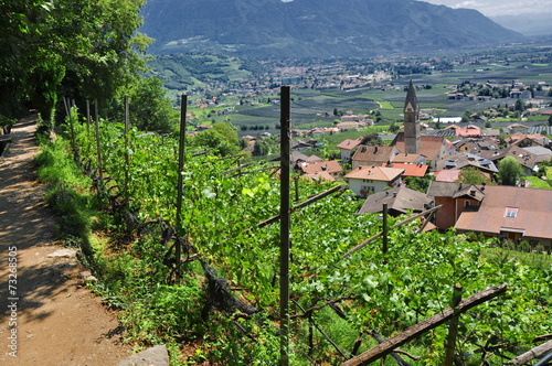 Blick auf Algund im Meraner Land