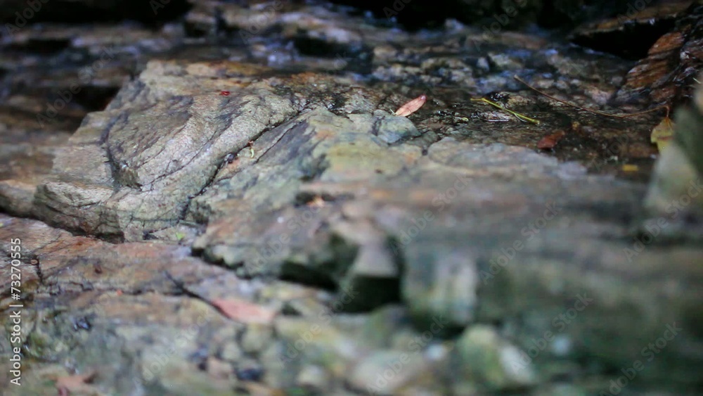 Close up view of stream waterfall and plants. Video shift motion Close up view of stream waterfall and plants. Video shift motion