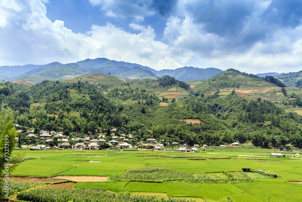 Obraz premium Terraced rice field