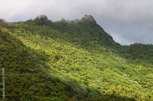 El Yunque National Forest photo