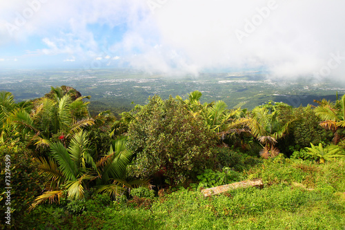 Puerto Rico Landscape photo