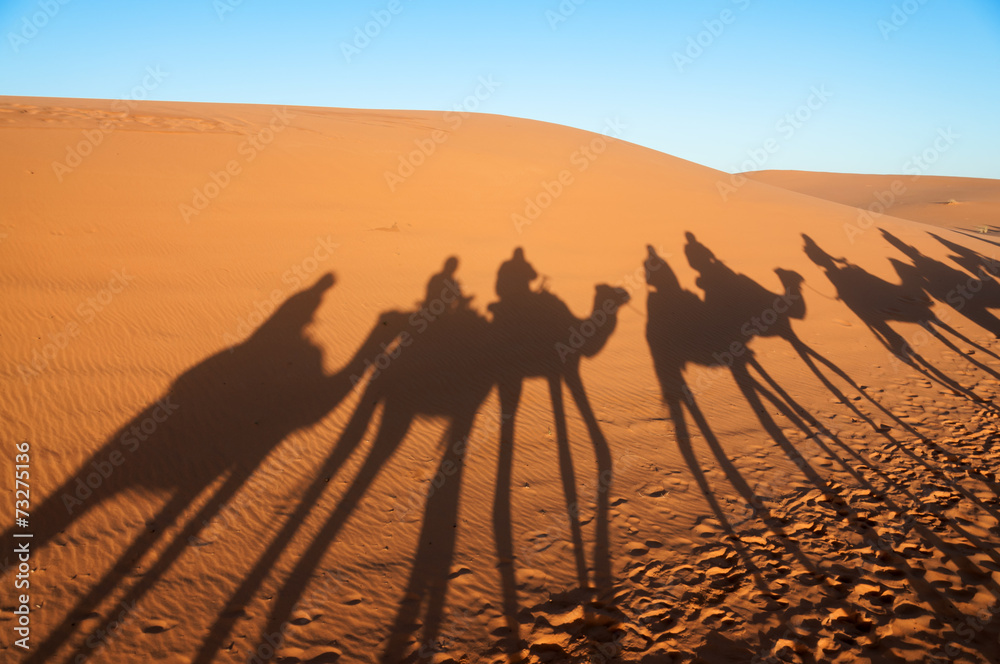 Caravan with tourists in the Sahara. Morocco, Africa - obrazy, fototapety, plakaty 