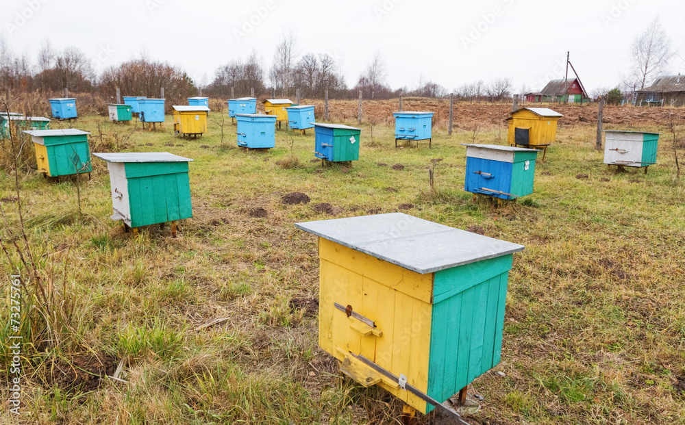 Apiary. Apiary.