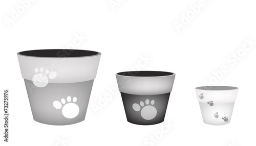 Set of Terracotta Flower Pots on White Background