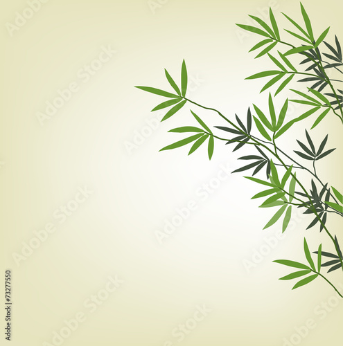 Green bamboo branches