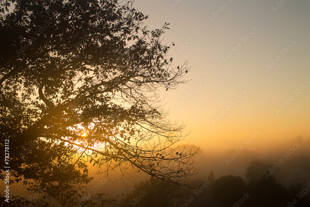 Sunrise Hamilton NZ