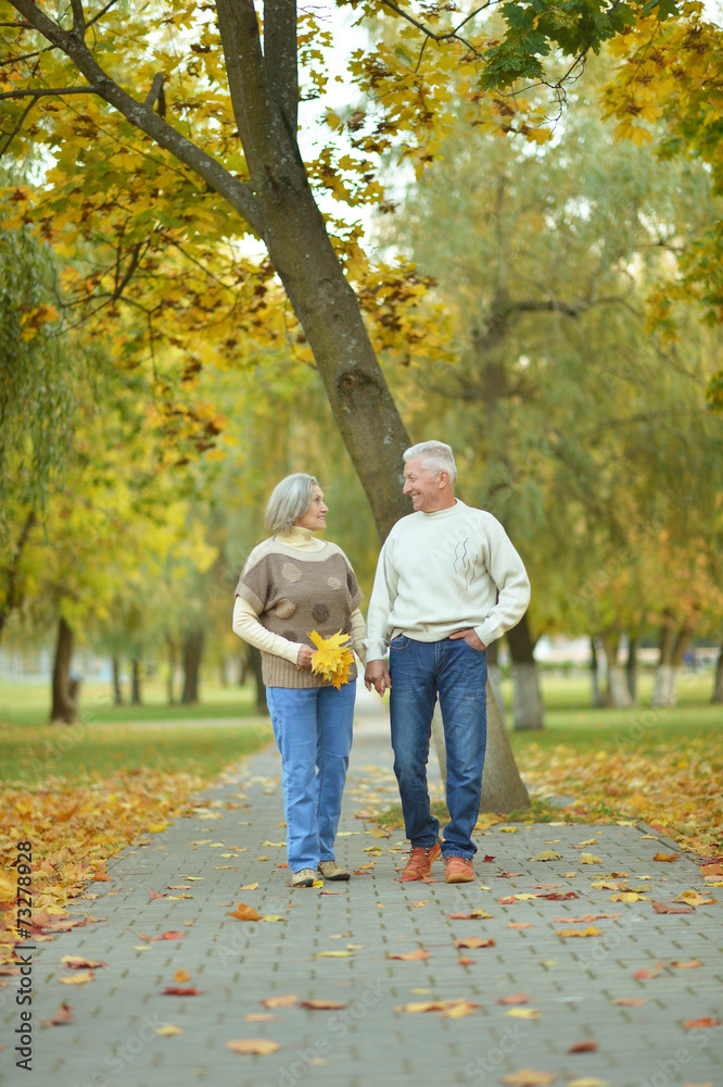 Couple in autumn park Couple in autumn park