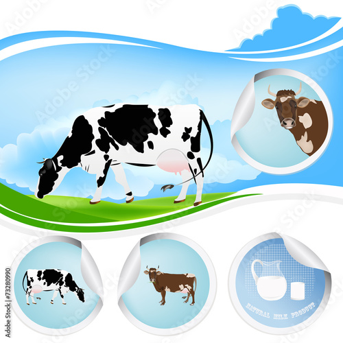 Cow.Farming dairy product.Fresh milk
