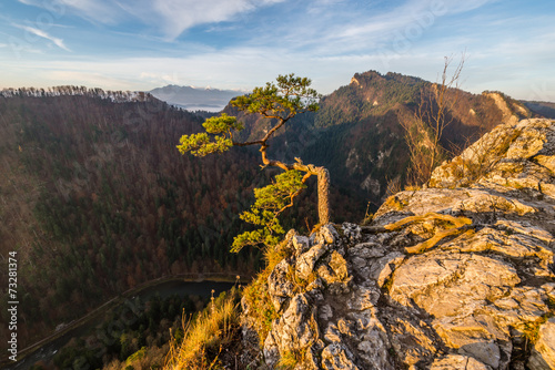 Sokolica Pienny photo