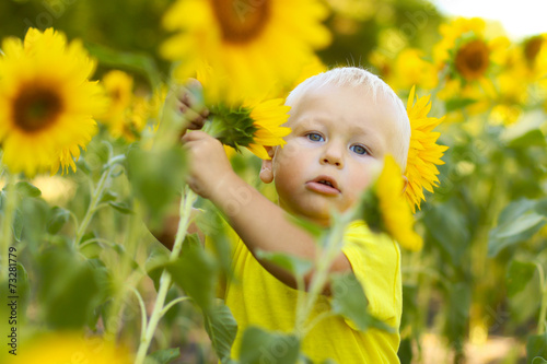 funny little boy in sunflowers