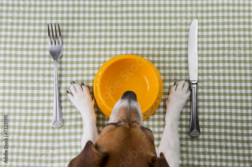 Dog diet