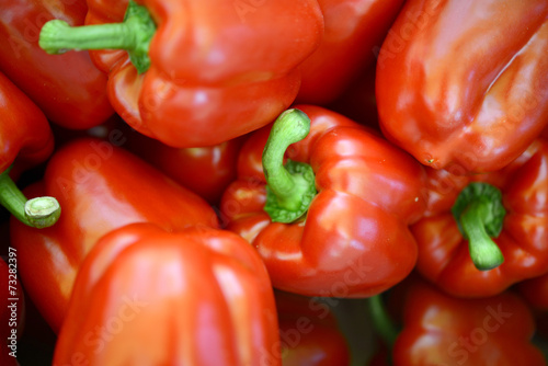 파프리카 야채이미지