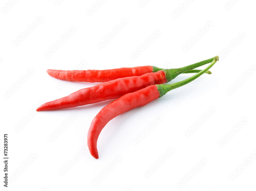 chili pepper isolated on a white background chili pepper isolated on a white background