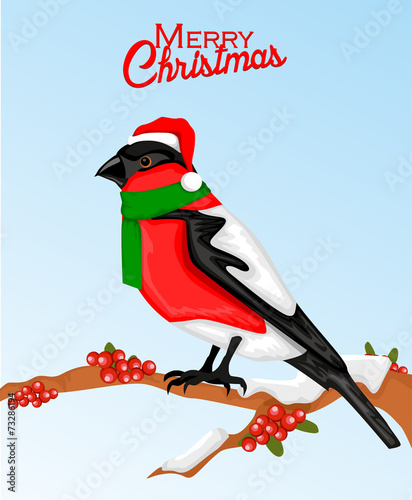 Christmas bullfinch bird in santa hat