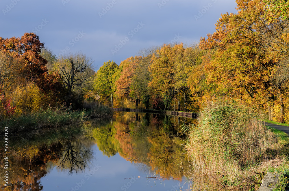 channel et autumn forest