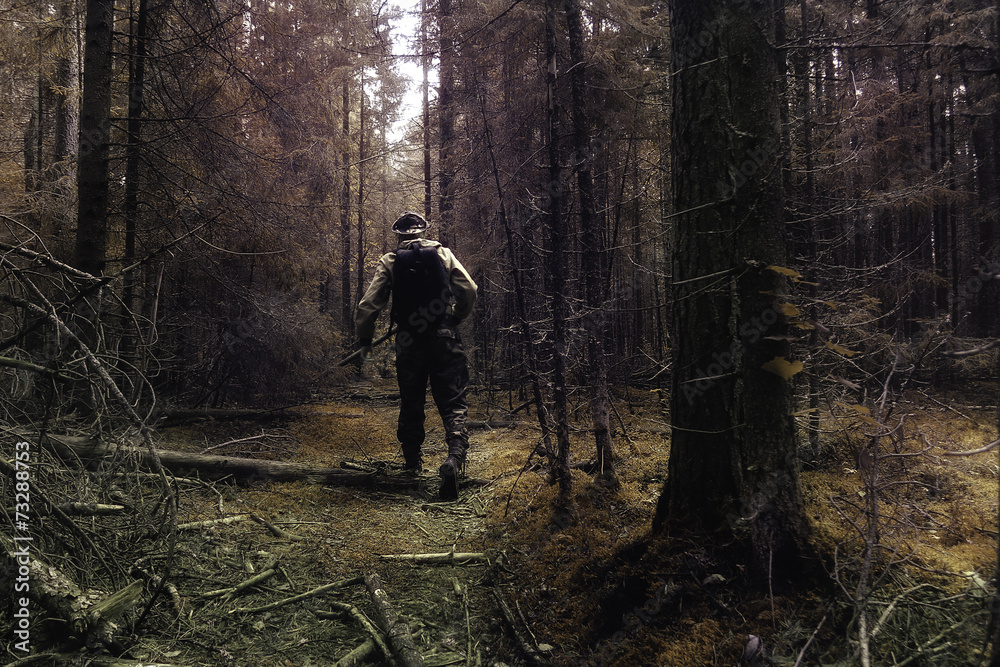 traveler in autumn mystical forest view from the back traveler in autumn mystical forest view from the back