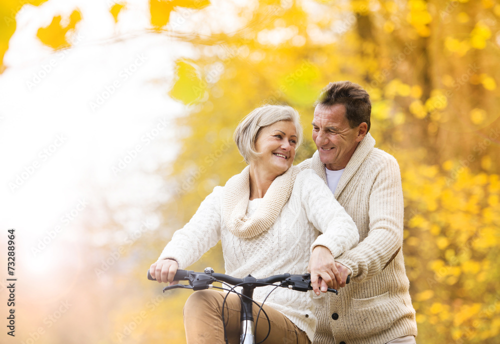 Fototapeta premium Senior couple with bicycle in autumn park