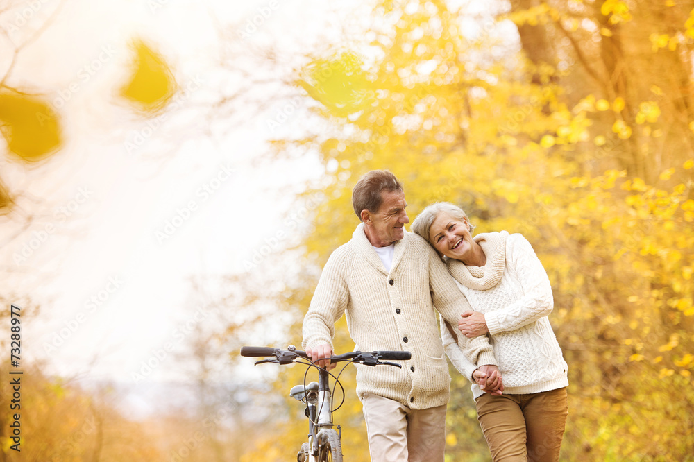 Senior couple with bicycle in autumn park - obrazy, fototapety, plakaty 