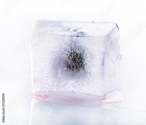 blueberry berry ice