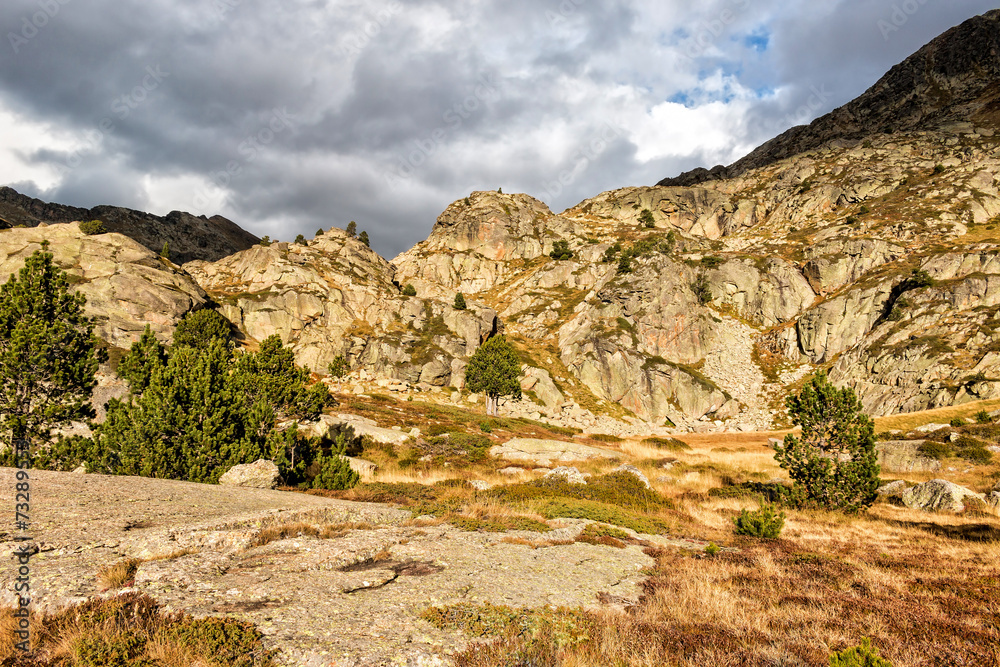 Fototapeta premium Mountain