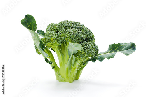 Ripe broccoli crop