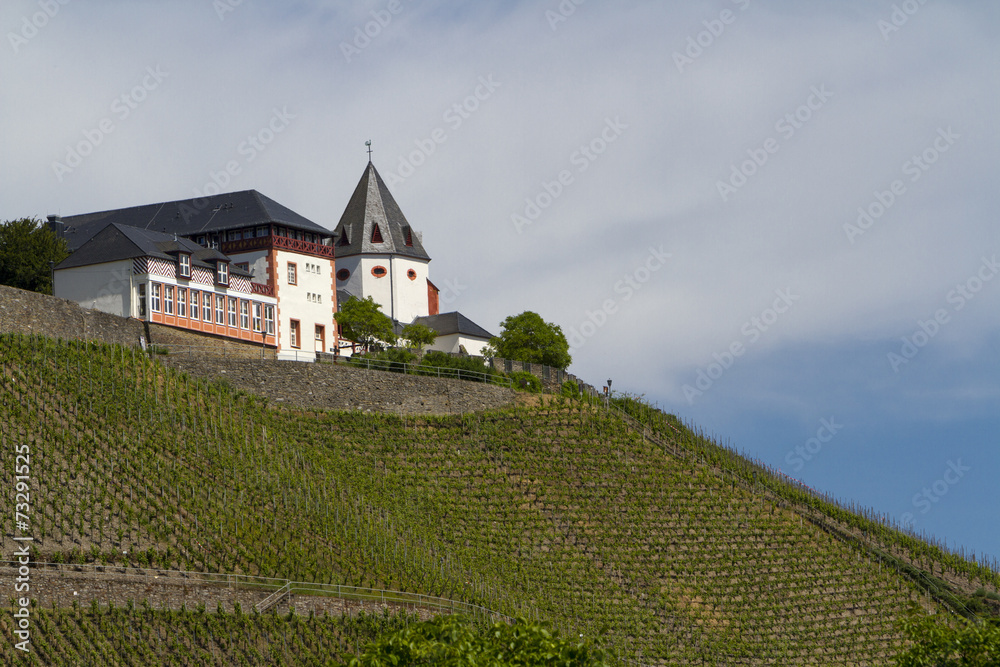 Fototapeta premium Marienburg bei Pünderich