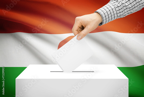 Ballot box with national flag on background - Niger