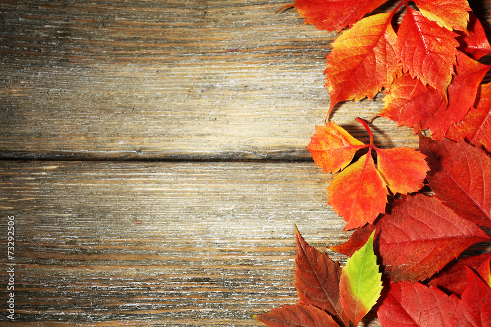 Beautiful autumn leaves on wooden background Beautiful autumn leaves on wooden background