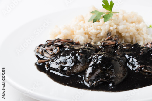 Fényképezés Squid in ink with rice and parsley