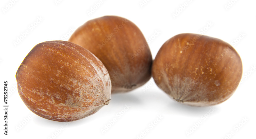 hazel-nuts