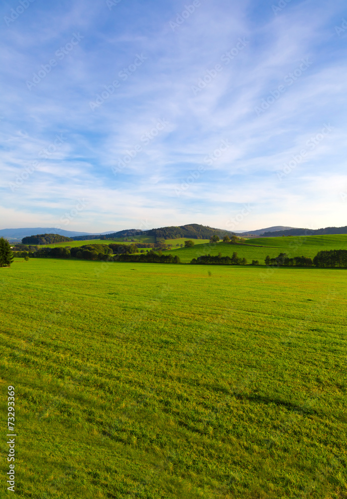 Summer landscape with green grass, blue sky