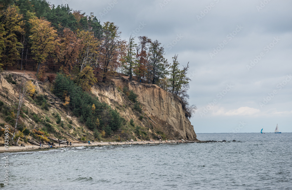 Fototapeta premium Kepa Redlowska cliff-like Baltic Sea coastline in Gdynia, Poland