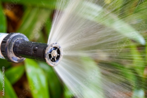 sprinkler of automatic watering