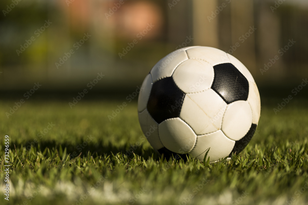 Fototapeta premium Soccer ball on a grass field.