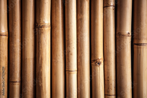 Bamboo close up, nice grunge texture