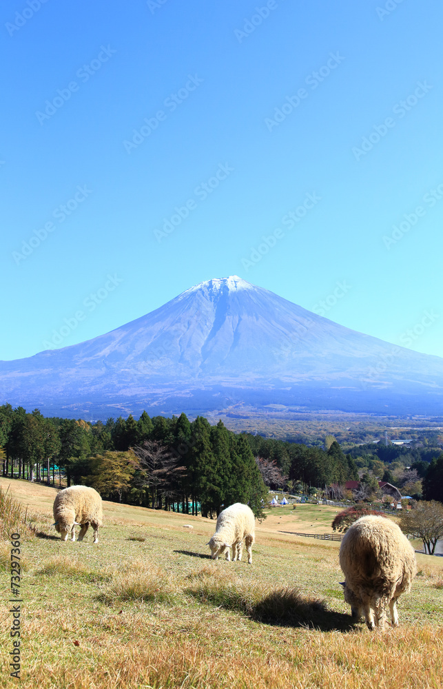 Obraz premium 富士山と牧場の羊