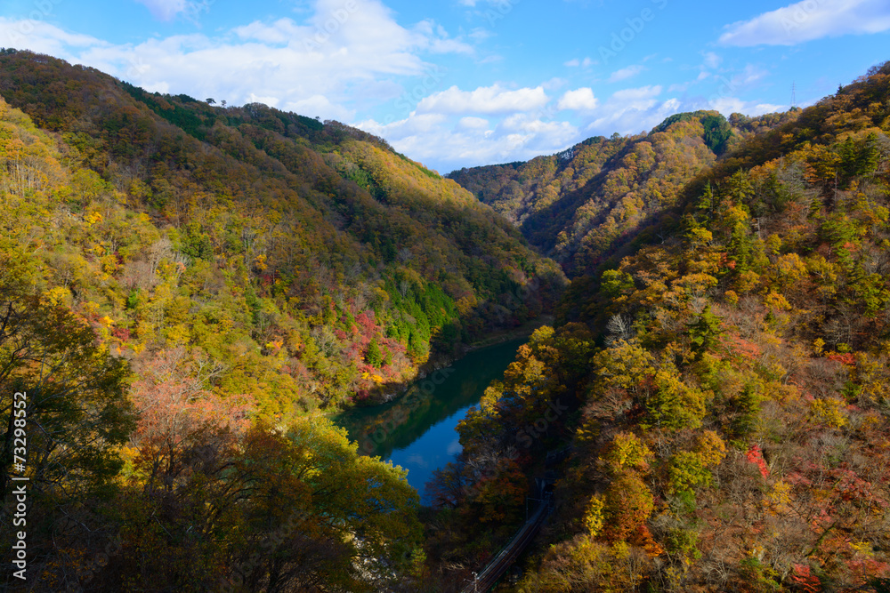 Tenryu river in Autumn, in Nagano, Japan