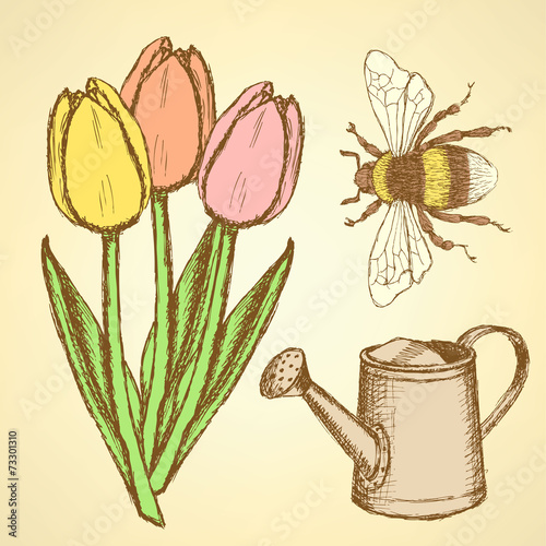 Sketch tulip, bee and watering can photo