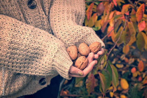 Girl with woolen sweater holding wallnuts photo