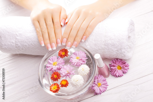 french manicure with colorful chrysanthemum