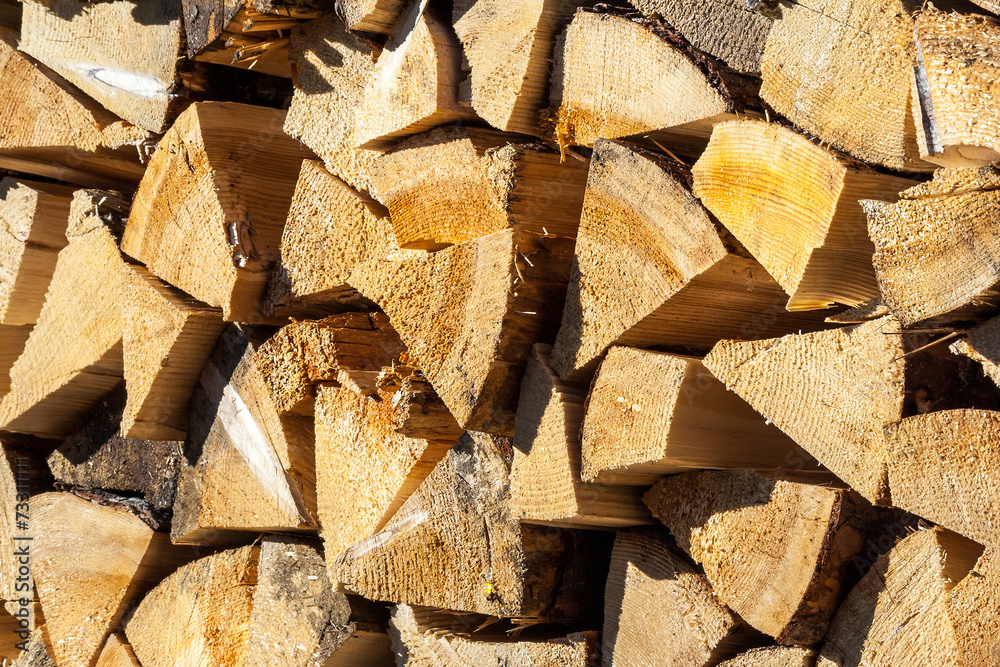 dry conifer firewood in sunlight dry conifer firewood in sunlight