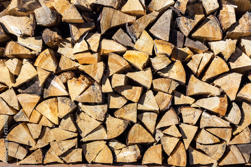 dry conifer firewood in sunlight